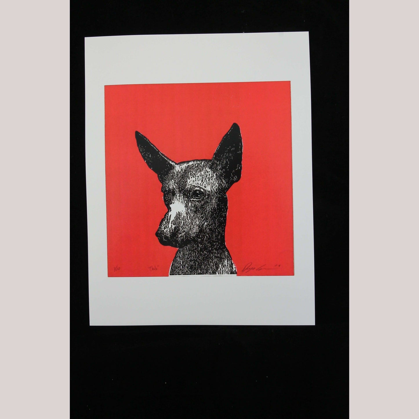 Print "Xoloitzcuintle" Dog on Glossy Paper Mexican Fine Art Collectible Decor