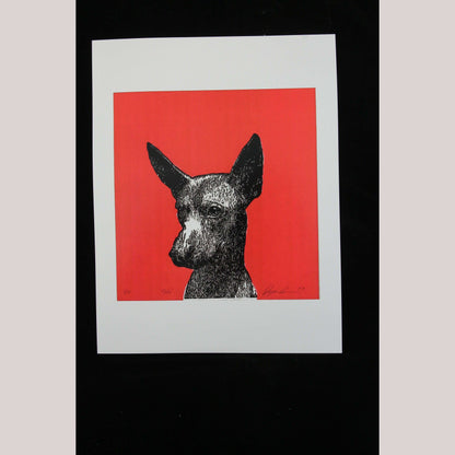 Print "Xoloitzcuintle" Dog on Glossy Paper Mexican Fine Art Collectible Decor